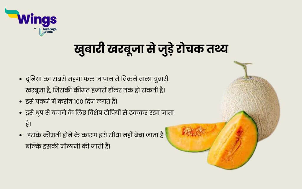 Fruit Facts in Hindi