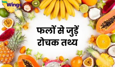 Fruit Facts in Hindi