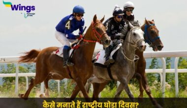 National Horse Day in hindi (1)