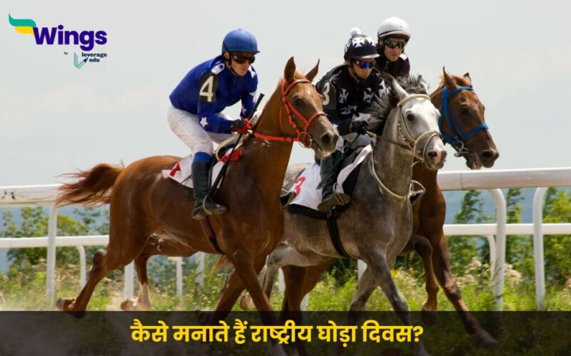 National Horse Day in hindi (1)