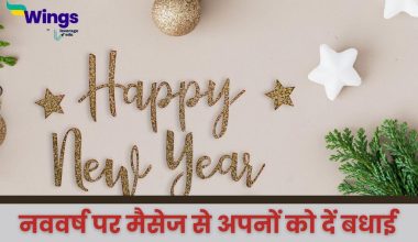 New Year Message in Hindi 2025 (3)