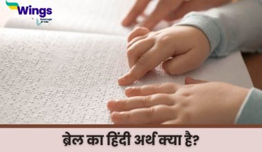 Braille Meaning in Hindi (1)