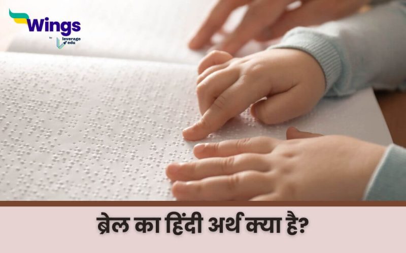 Braille Meaning in Hindi (1)