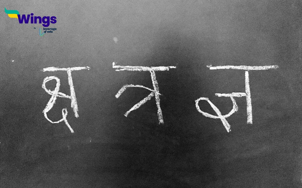 10 Lines on Hindi Diwas in Hindi