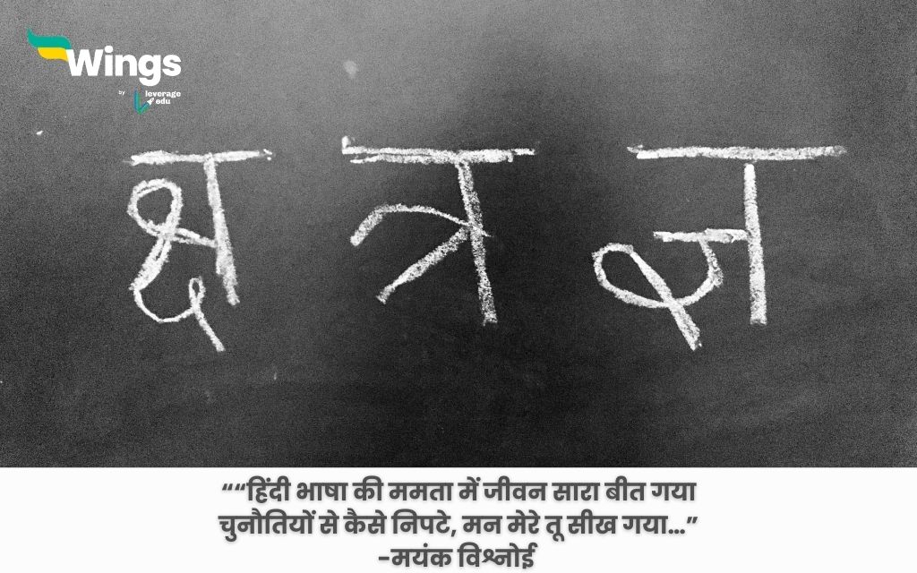 विश्व हिंदी दिवस पर शायरी