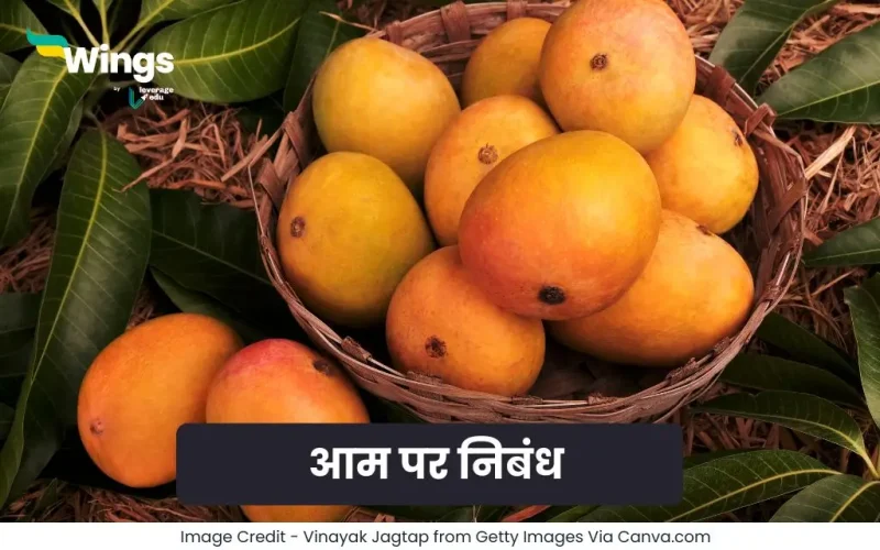 Essay on Mango in Hindi