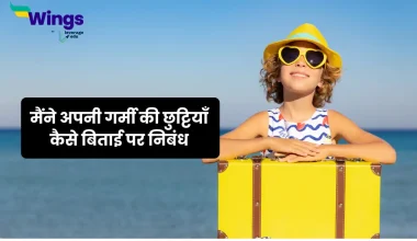 Essay on How I Spent My Summer Vacation in Hindi