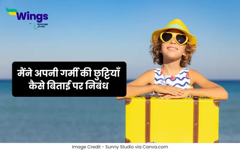 Essay on How I Spent My Summer Vacation in Hindi