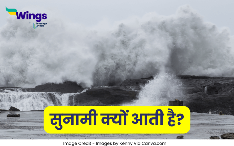 Tsunami in Hindi