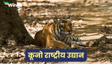 कूनो राष्ट्रीय उद्यान