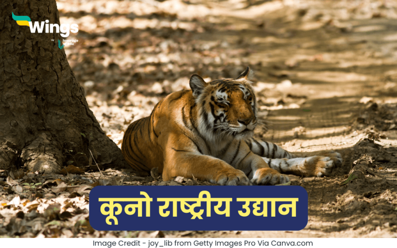 कूनो राष्ट्रीय उद्यान