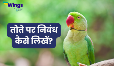 Essay on Parrot in Hindi