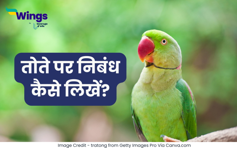 Essay on Parrot in Hindi