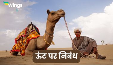 Essay on Camel in Hindi