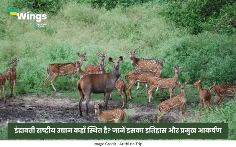 Indravati Rashtriya Udyan