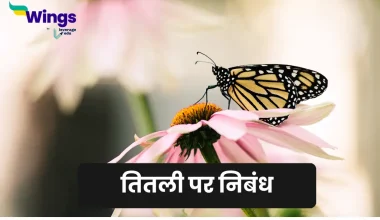 Essay on Butterfly in Hindi