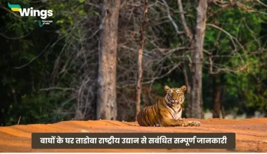 Tadoba Rashtriya Udyan