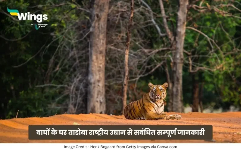 Tadoba Rashtriya Udyan