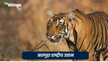 Satpura Rashtriya Udyan