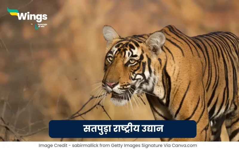 Satpura Rashtriya Udyan