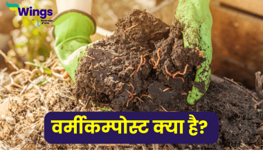 Vermicompost in Hindi