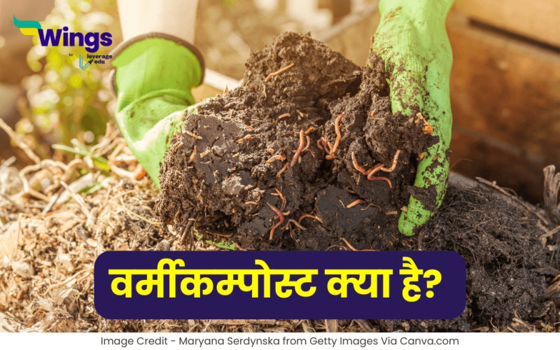 Vermicompost in Hindi