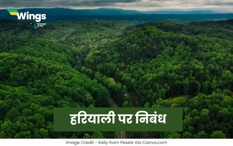 Essay on Hariyali in Hindi