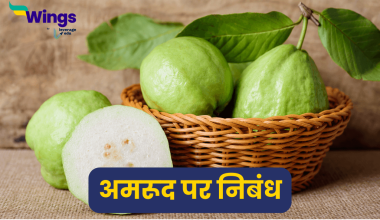 Essay on Guava Fruit in Hindi