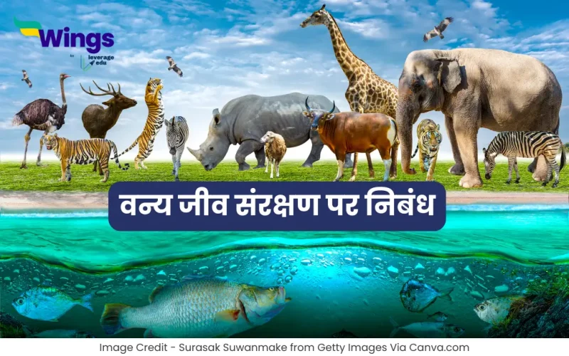 Essay on Wildlife Conservation in Hindi
