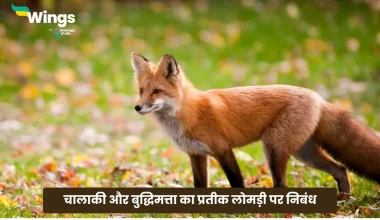 Essay on fox in hindi