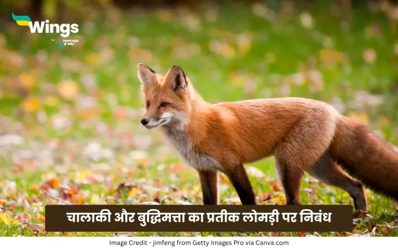 Essay on fox in hindi