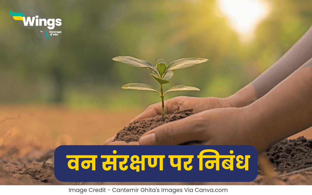 Essay on Forest Conservation in Hindi