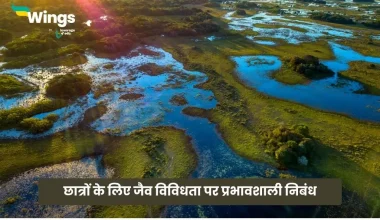 Essay on Importance of Biodiversity in Hindi