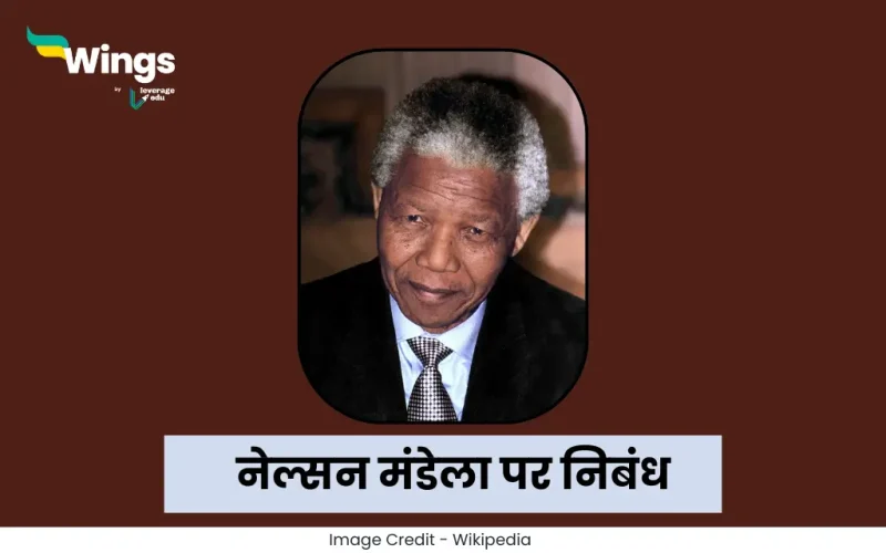 Essay on Nelson Mandela in Hindi