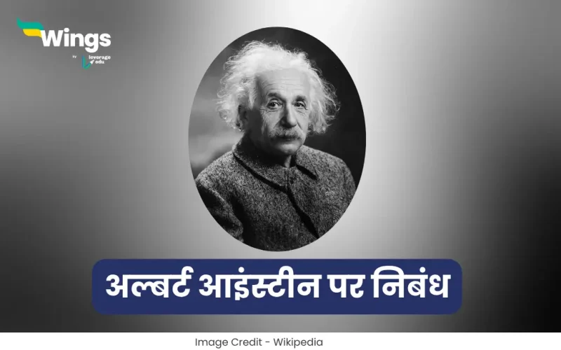 Essay on Albert Einstein in Hindi