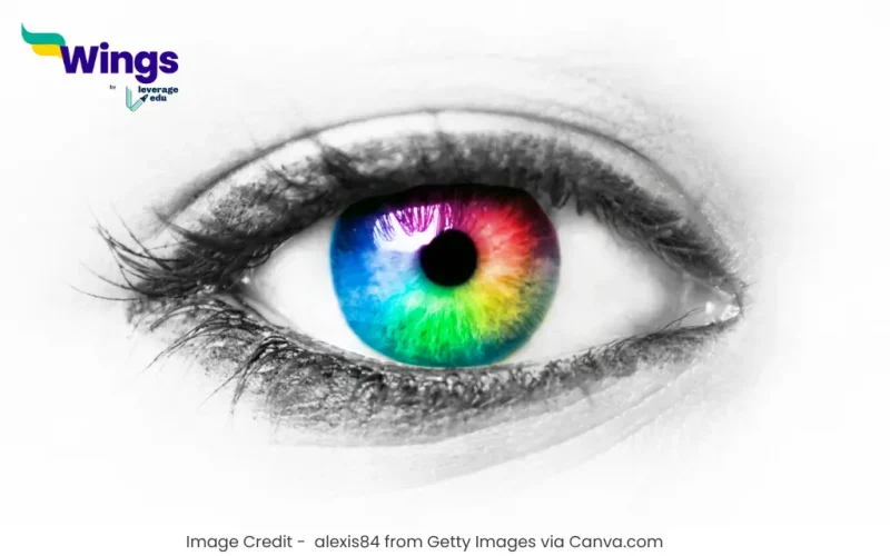 Essay on Eyes in Hindi