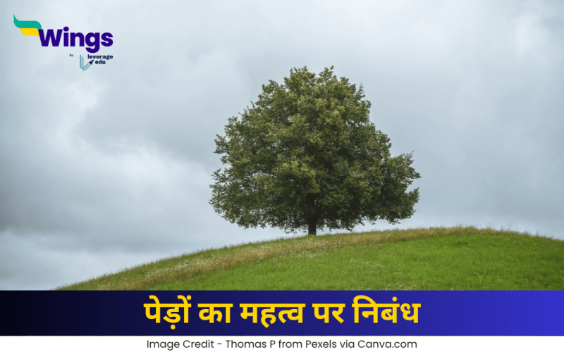 पेड़ों का महत्व पर निबंध