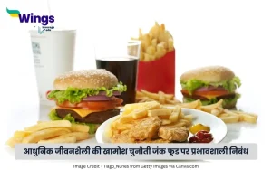 जंक फूड पर निबंध