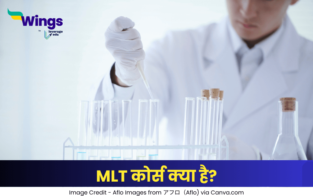 MLT कोर्स