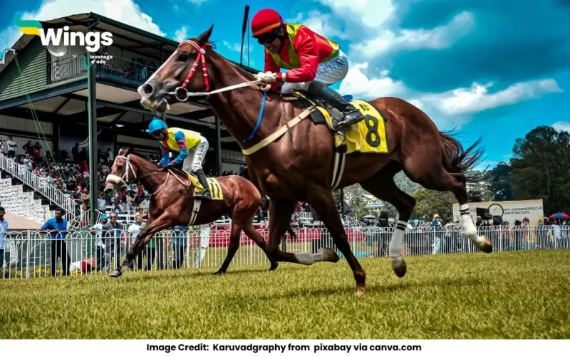 How-Many-Horse-Powers-Do-746-Watts-Consist-of