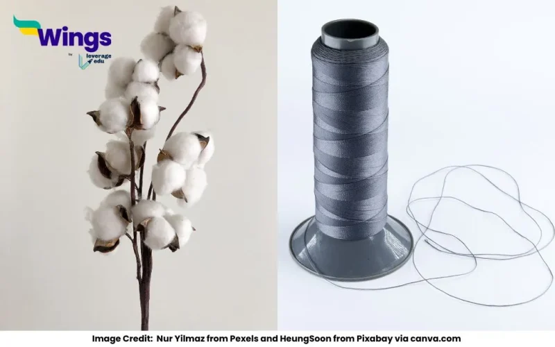 Give 5 Examples of Natural and Artificial Fibres
