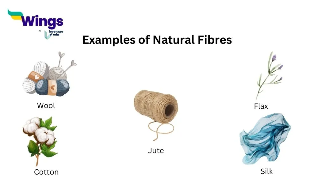 Examples of Natural Fibres