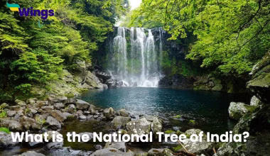 National Tree of India