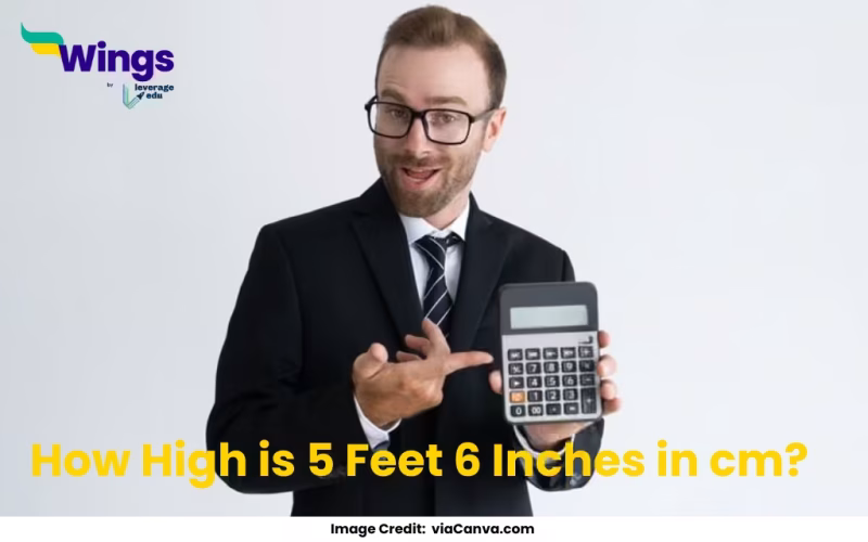 How High is 5 Feet 6 Inches in cm