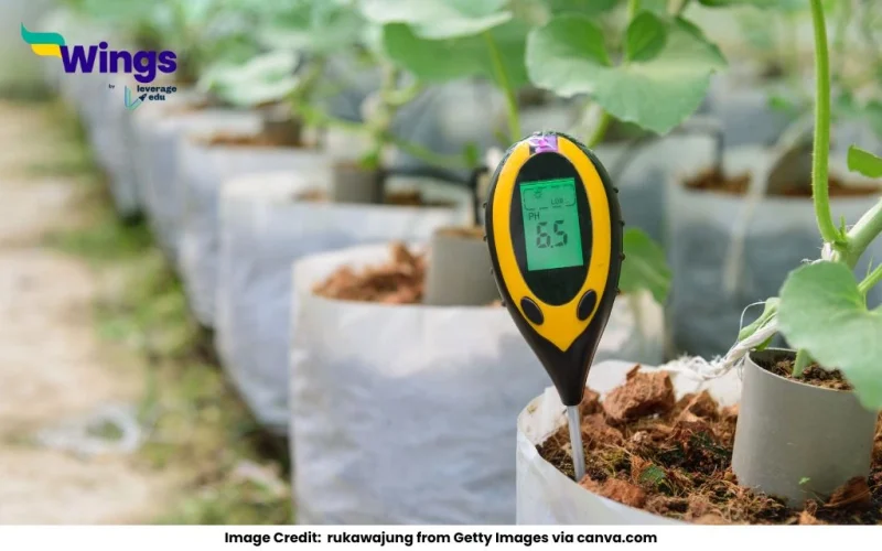 Importance of pH in Everyday Life