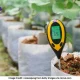 Importance of pH in Everyday Life