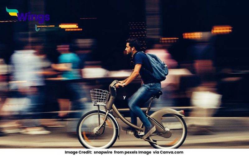 Differentiate-Between-Rectilinear-Motion-and-Curvilinear-Motion