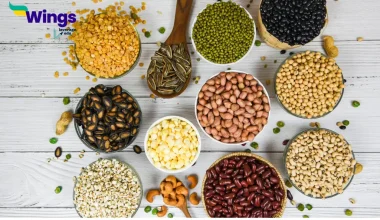 Difference Between Grain and Seed