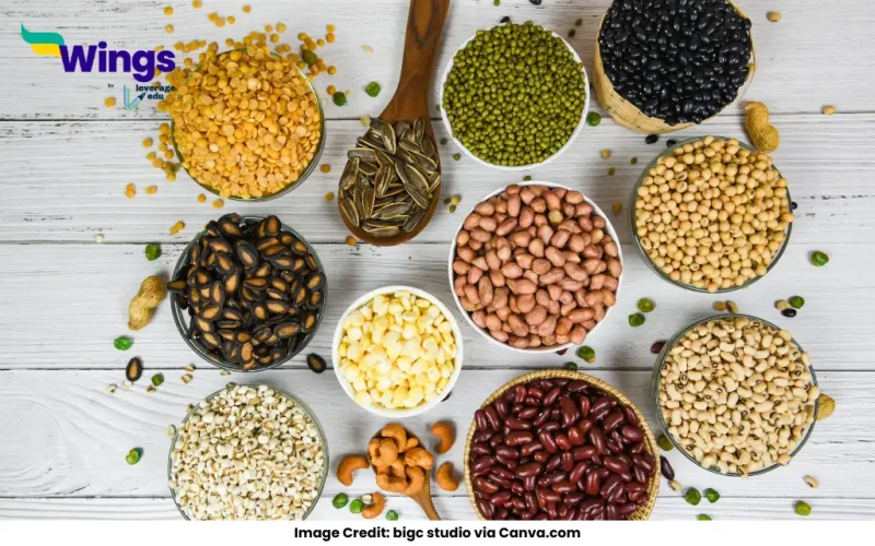 Difference Between Grain and Seed