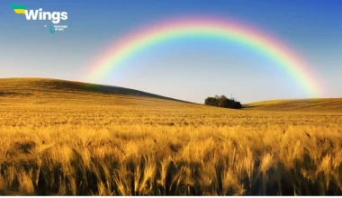 A rainbow has circular shape because